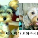 같이 이미지