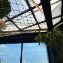 팜오션 | 광안리 오션뷰 브런치 카페 쿠타팜 테라스 광안리점 솔직후기 🌊