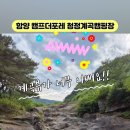 캠프더포레 이미지