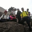 보고또보고 이미지