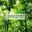닛시 이미지