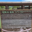 육각정 화장실 | [제주 애월 가볼만한 곳]푸른 하늘과 연꽃이 반기는 '연화지' 산책 후기