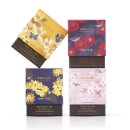 제주 memory 이미지