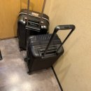 무사 | [일본]히로시마역 탄탄멘 맛집 추천 쿠니마츠+무사시보 라멘 후기