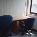 딱이야 오피스 이미지