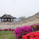 문화예술조합 예술로 | 문화 예술 레저 등을 즐길수 있는 경기도