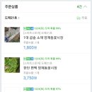 도매21호