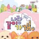 강원 이미지