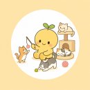 아이캣유 | 주말에 아이랑 뭐 하지? 양주 고양이카페 🐾아이캣유 양주점에서 힐링하고 온 후기/양주 이색데이트 추천🖤