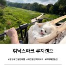 광장게임랜드 | [평창 애견동반 여행] 휘닉스파크 루지랜드 강아지 동반탑승 후기(+실내 즐길거리)