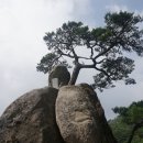 연원마을약국 이미지