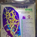 제일자수정