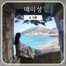 나폴리 Daum카페