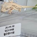 원주브리딩 이미지