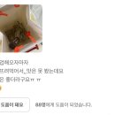 2024.03. 서울 살이 이점을 모두 챙기는 주간입니다.
