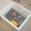 조은농장2 이미지