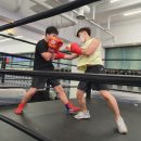 럭셔리복싱클럽 이미지