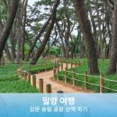 삼문동둔치길(삼문송림) 이미지