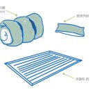 차박캠핑