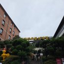 북촌 삼계탕 | 초복맞이 안국역 북촌 백년토종삼계탕 내돈내산 미슐랭 삼계탕 맛집 후기