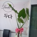 미르당구장 이미지