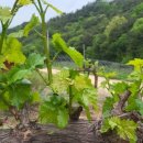 주경농장 이미지