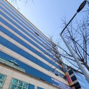 삼성에이스내과의원 이미지