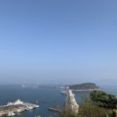 여수달구나 이미지