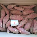 호박고구마 꿀고구마 섞어서 포장 할인가한정 이미지