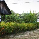 개평한옥문화마을 이미지