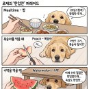 한입주개 | 떡 앞의 꺼먹살이, 고구마 앞의 로제