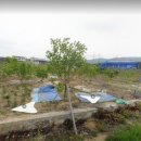 개곡리농장 이미지