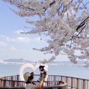 삼남로 이미지
