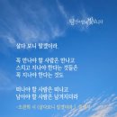 날마다 정식