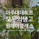 웰빙소셜댄스스포츠 | 수원이색데이트 아주대놀거리로 딱! 모두의탱고 커플댄스 원데이클래스 후기