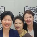 인셀덤 예스우먼대리점 | 소비자 매출만 1000만원?