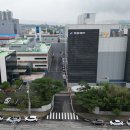 동광제약 네이버블로그
