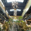 식물원옆카페 | [이천 경춘당] 서울 근교 대형 식물원 베이커리 카페 방문 후기