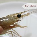 대하 이미지