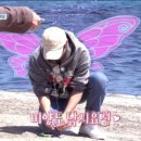 이불고기 이미지