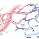 에덴셀