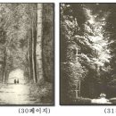 헨젤과 그레텔 이미지