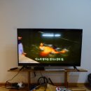 (주)사려니 이미지