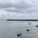 송원왕갈비 | 부산 용호동 가성비 점심 맛집 송원왕갈비에서 즐긴 최고의 점심특선 후기