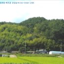 진골천 네이버블로그