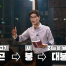 대붕 이미지