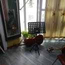 첼로파크 이미지