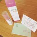 아이볼릿 이미지