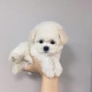 은총한의원 이미지