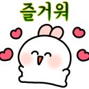 화끈한갈매기 이미지